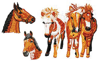 Caballos
