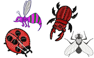 Insectos