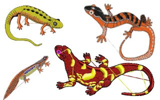 Lagartos