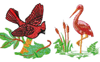 Pajaros
