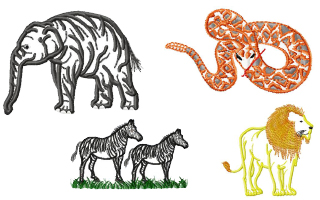 Safari
