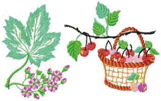 Fruit