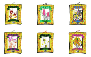 Semillas De Flores